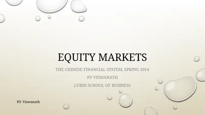 Equity markets The Chinese financial system,