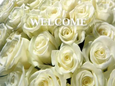 WELCOME FINANCIAL MARKET AND INSTITUTIONS TOPIC: