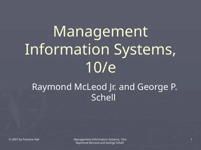 © 2007 by Prentice Hall Management Information