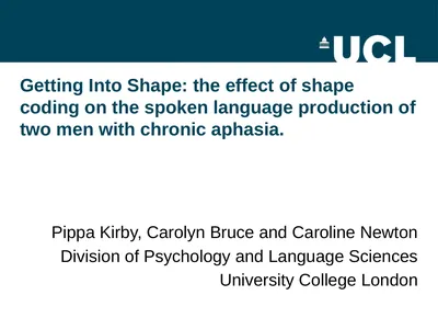 Getting Into Shape: the effect of shape coding on