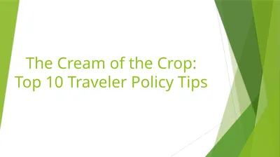 The Cream of the Crop: Top 10 Traveler Policy Tips