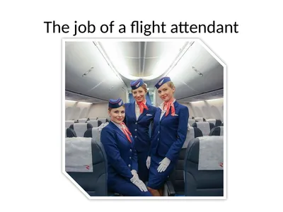 The job of a flight attendant Jobs at the airport
