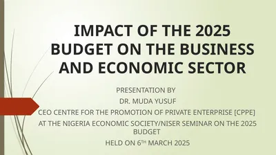 IMPACT OF THE 2025 BUDGET ON THE BUSINESS AND