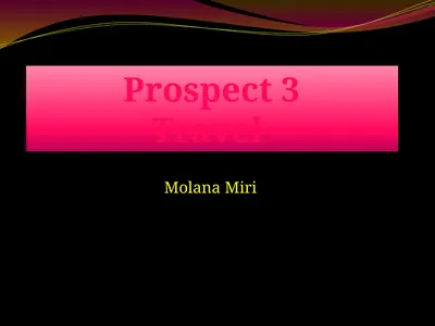 Prospect 3 Travel Molana Miri “The world is a book