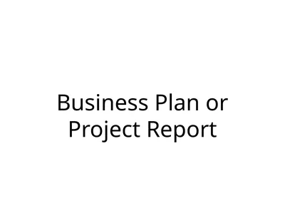 Business Plan or Project Report 1. What is a