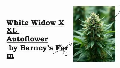 White Widow XXL Autoflower by Barney’s Farm
