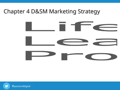 Chapter 4 D&SM Marketing Strategy Learning
