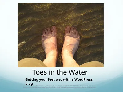 Toes in the Water Getting your feet wet with a