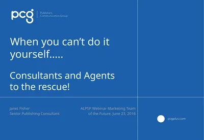 When you can’t do it yourself….. Consultants and