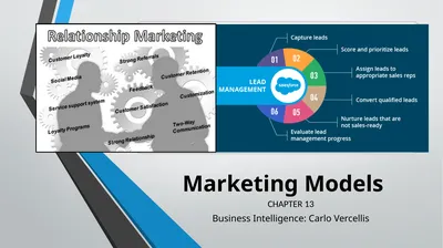 Marketing Models CHAPTER 13 Business Intelligence: