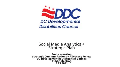 Social Media Analytics + Strategic Plan Emily