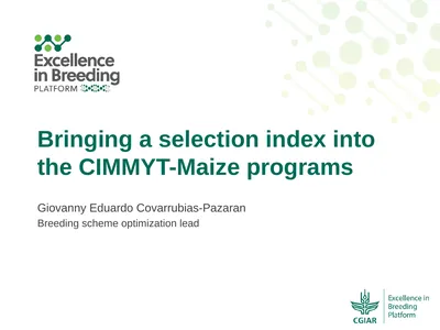 Bringing a selection index into the CIMMYT-Maize