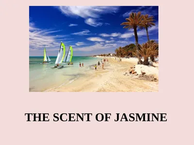 THE SCENT OF JASMINE English is fun 7, Student’s