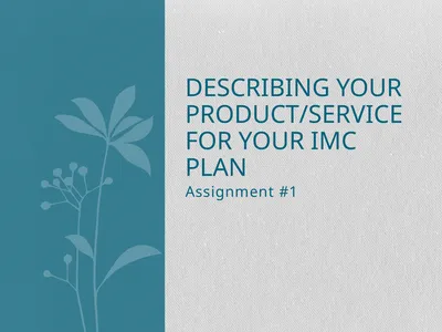 Assignment #1 Describing Your Product/Service for