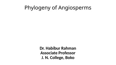 Phylogeny of Angiosperms Dr. Habibur Rahman