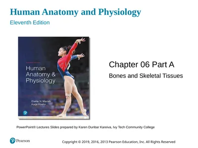 Human Anatomy and Physiology Eleventh Edition