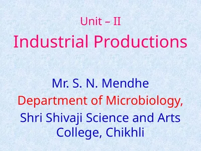 Unit – II Industrial Productions Mr. S. N. Mendhe