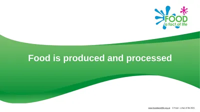 Food is produced and processed All food is from a