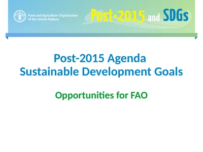 Post-2015 Agenda Sustainable Development Goals