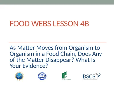Food Webs Lesson 4B As Matter Moves from Organism