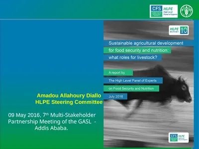 Amadou Allahoury Diallo HLPE Steering Committee 09