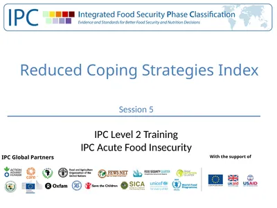 Reduced Coping Strategies Index IPC Global