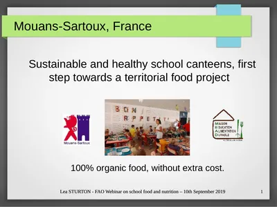 Lea STURTON - FAO Webinar on school food and
