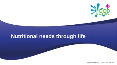 Nutritional needs through life The key stages in