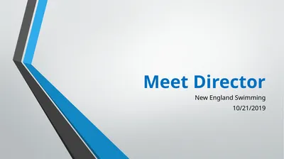 Meet Director New England Swimming 10/21/2019 Why