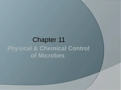 Physical & Chemical Control of Microbes Chapter 11