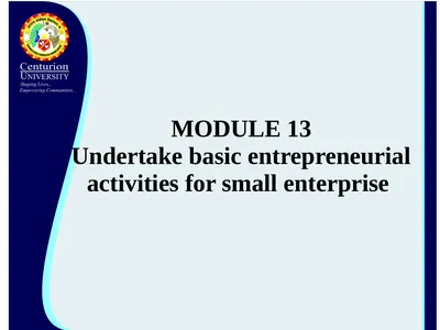 MODULE 13 Undertake basic entrepreneurial