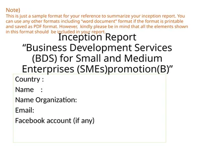 Inception Report “Business Development Services