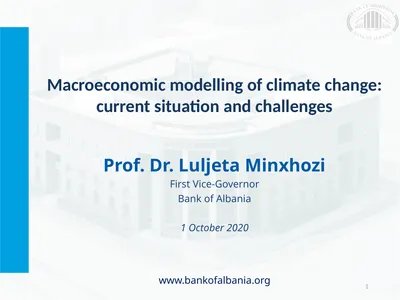 Prof. Dr. Luljeta Minxhozi First Vice-Governor