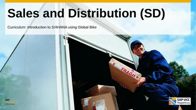 Sales and Distribution (SD) Curriculum: