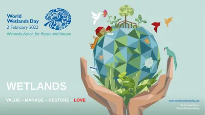 VALUE – MANAGE – RESTORE – LOVE