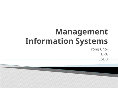 Management Information Systems Yong Choi BPA CSUB