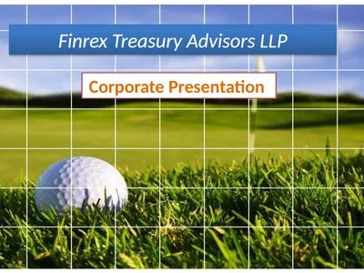 Finrex Treasury Advisors LLP Corporate