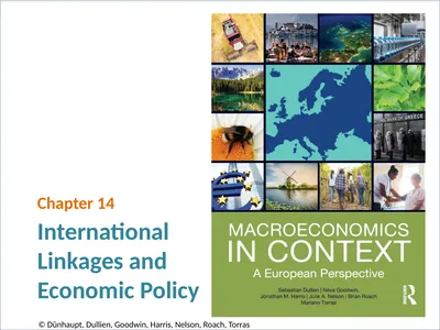 International Linkages and Economic Policy Chapter