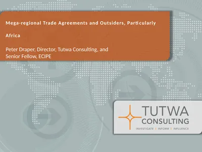 Mega-regional Trade Agreements and Outsiders,
