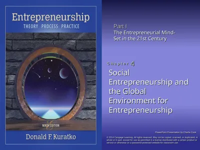 Social Entrepreneurship and the Global Environment