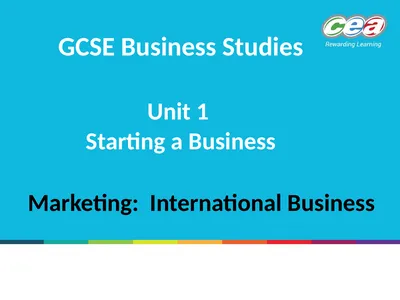 GCSE Business Studies Unit 1 Starting a Business