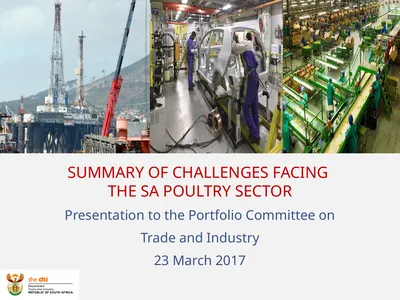 SUMMARY OF CHALLENGES FACING THE SA POULTRY SECTOR