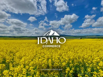 Program Overview State Trade Expansion Program