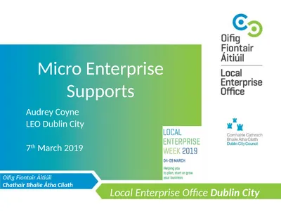 Micro Enterprise Supports Audrey Coyne LEO Dublin