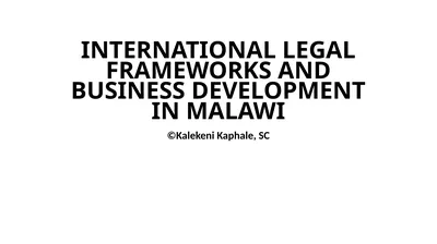 INTERNATIONAL LEGAL FRAMEWORKS AND BUSINESS