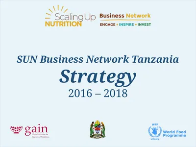 SUN Business Network Tanzania Strategy 2016 – 2018
