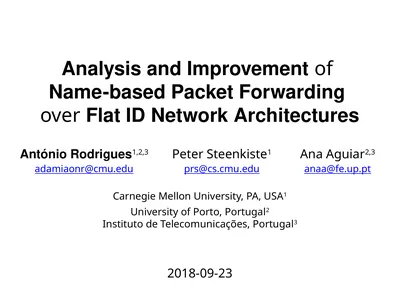 Analysis and Improvement of Name-based Packet