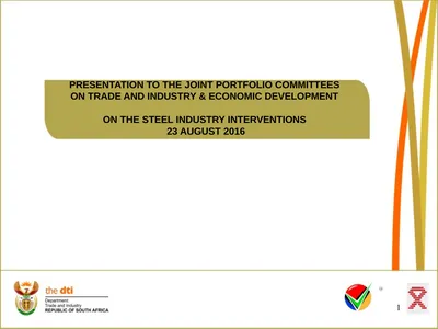 PRESENTATION TO THE JOINT PORTFOLIO COMMITTEES ON