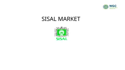 SISAL MARKET Development of Sisal exports in the