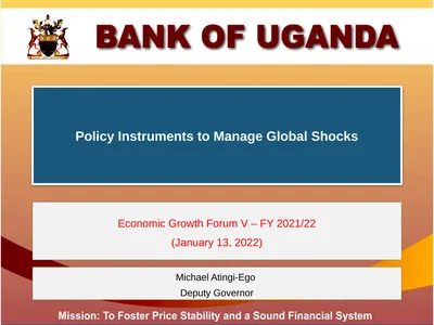 Policy Instruments to Manage Global Shocks